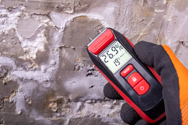 Best Crawl Space Mold Removal  in Hickman, KY