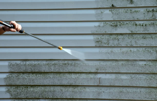 Mold Removal Process in Hickman, KY